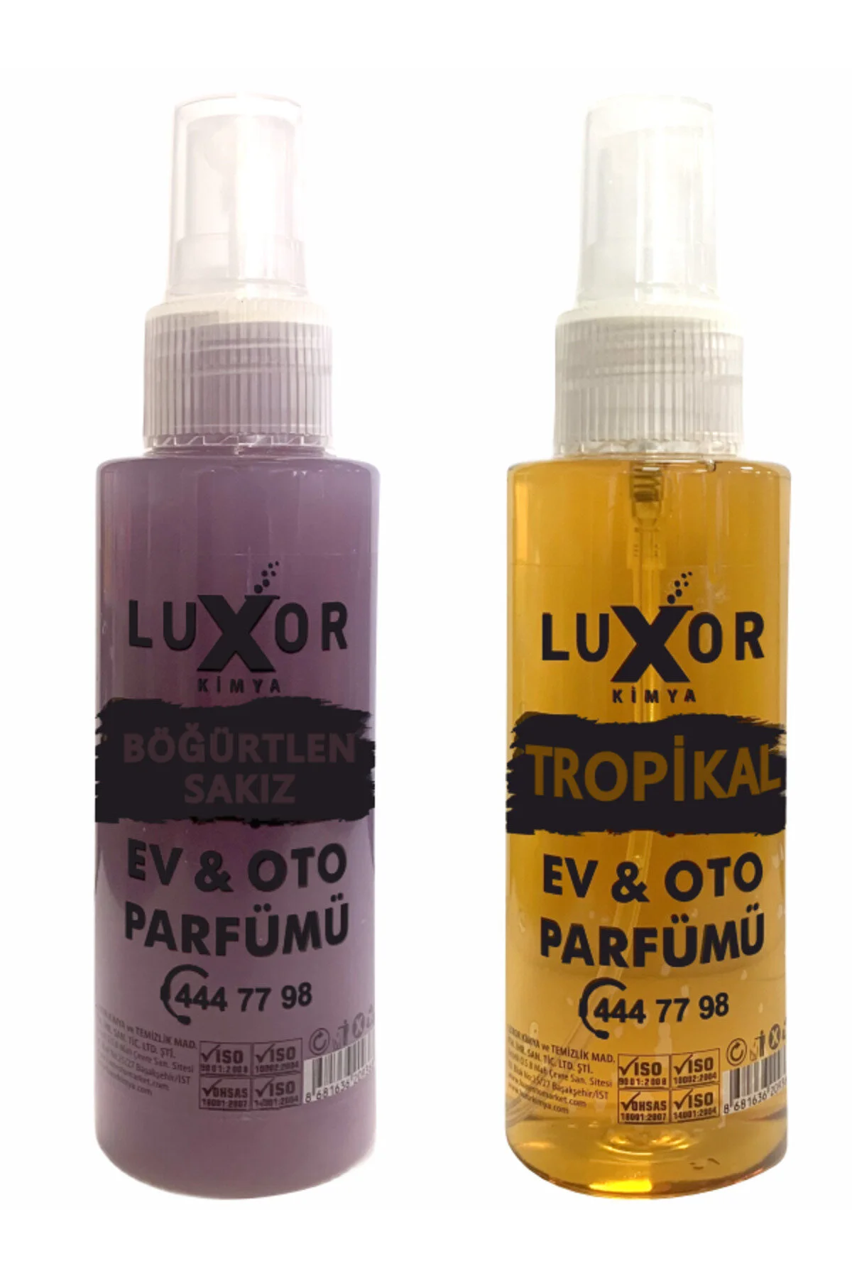 Ev Ve Oto Parfümü 2'li Set Böğürtlen Sakız + Tropikal 100 ml
