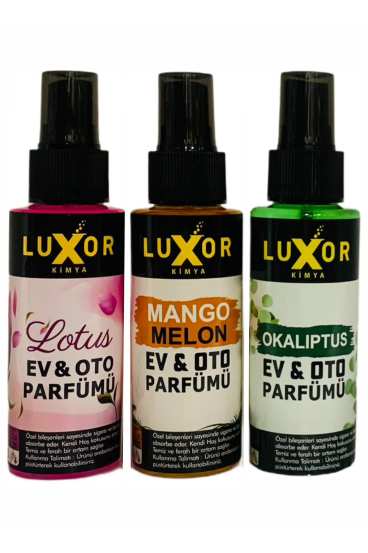 100 Ml 3 Lü Set Lotus & Mango Melon & Okaliptus Ev Ve Oto Parfümü