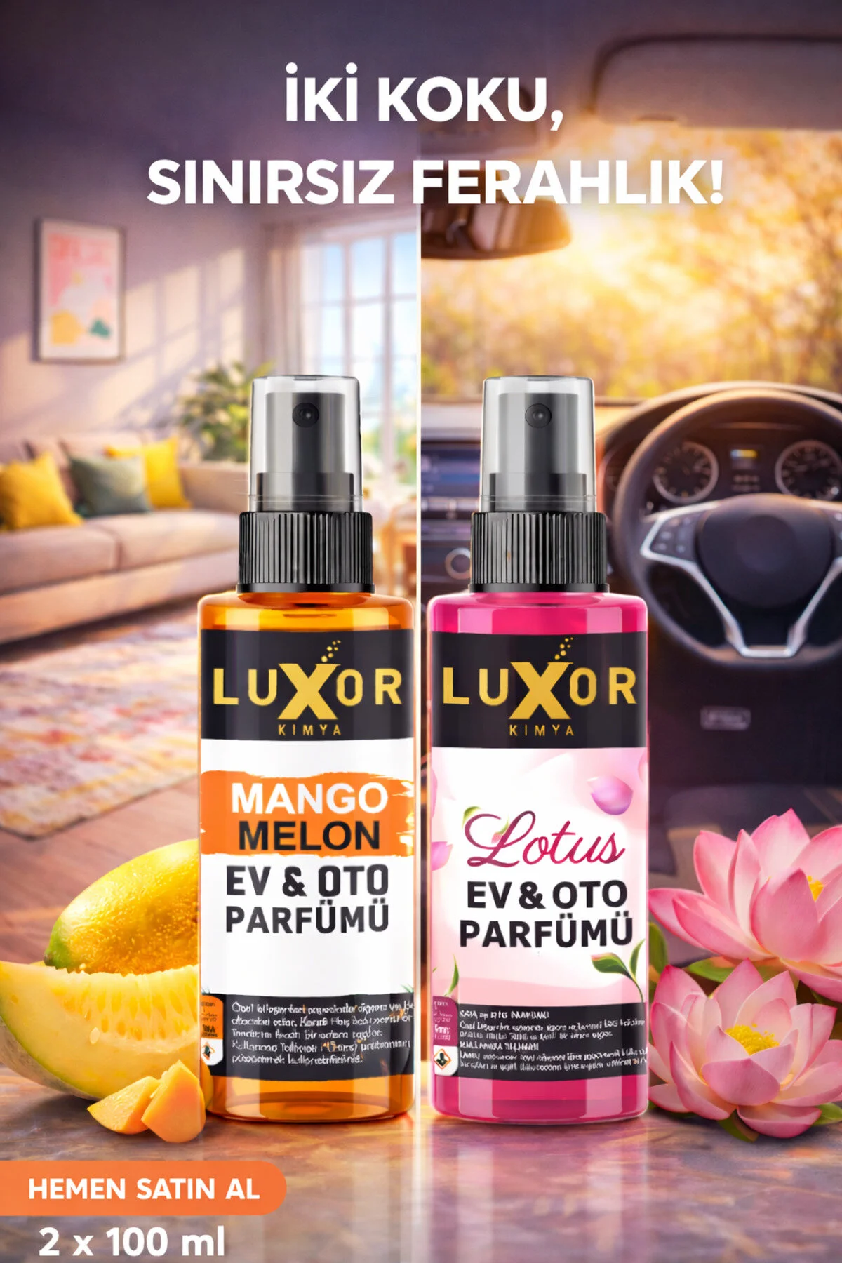 Oto Parfümü Mango Kavun & Lotus 100 ML | Oto Kokusu | Araç Parfümü | Sprey Oto Kokusu görsel 2